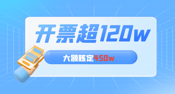 2024個體戶開票超120萬怎么繼續(xù)核定？（大額核定450w）