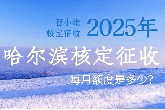 哈爾濱核定征收每月定額多少？2025核定征收新政策標準！