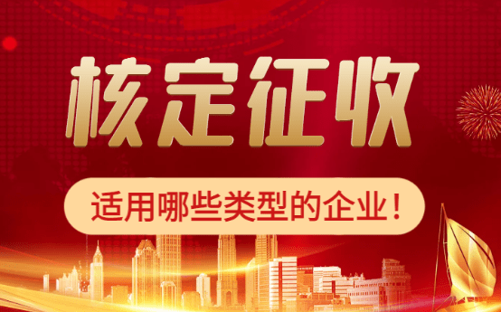 2025核定征收適合哪些類型的企業？