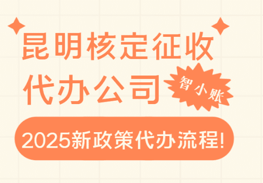 昆明核定征收代辦公司2025新政策代辦流程！