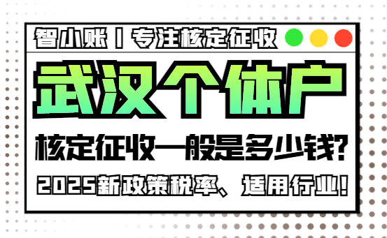 武漢個體戶核定征收一般是多少錢?