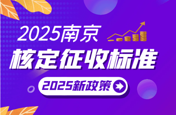 2025南京核定征收怎么核定?