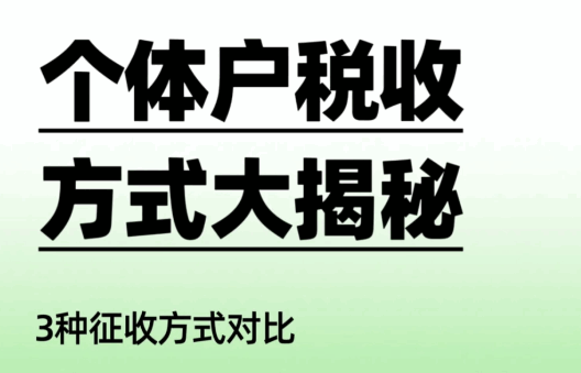 2025個體戶核定征收方式有哪些？申請流程是什么？