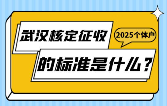 武漢個體戶核定征收的標準是什么？