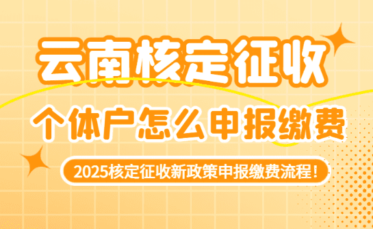 云南核定征收個體戶怎么申報繳費的？