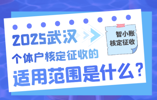 武漢核定征收的個體戶適用范圍是什么？