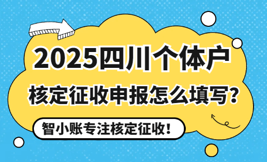 2025四川個體戶核定征收申報怎么填寫？