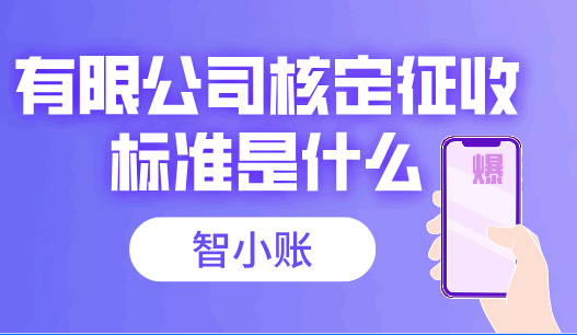 有限公司核定征收標(biāo)準(zhǔn)是什么？