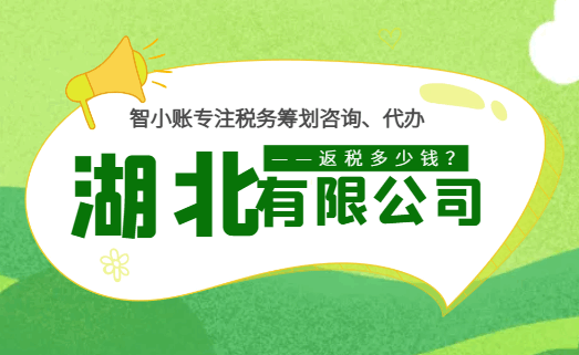 湖北有限公司返稅多少錢？