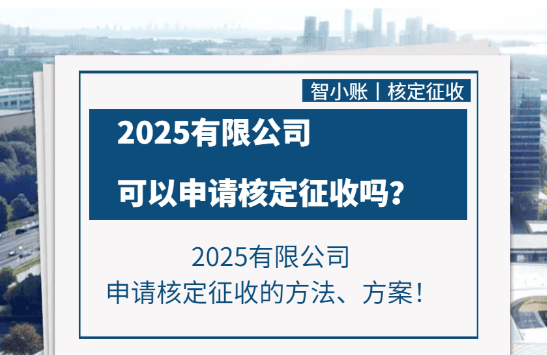 有限責(zé)任公司可以核定征收嗎？直接申請(qǐng)和稅務(wù)籌劃合規(guī)享受兩種方案！