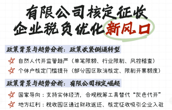 有限責任公司可以核定征收嗎?直接申請和稅務(wù)籌劃合規(guī)享受兩種方案!