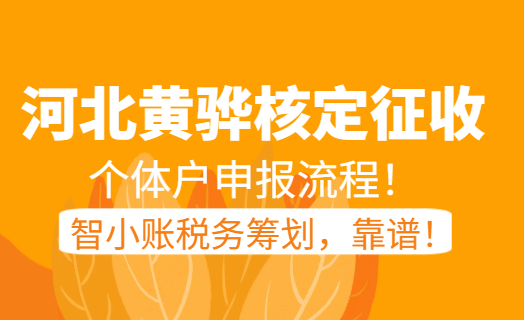 河北黃驊核定征收個體戶申報流程！