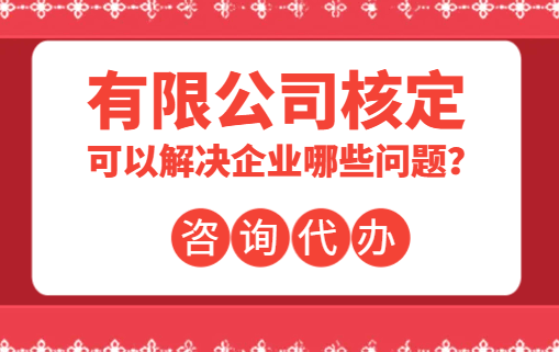 有限公司核定可以解決企業哪些問題？