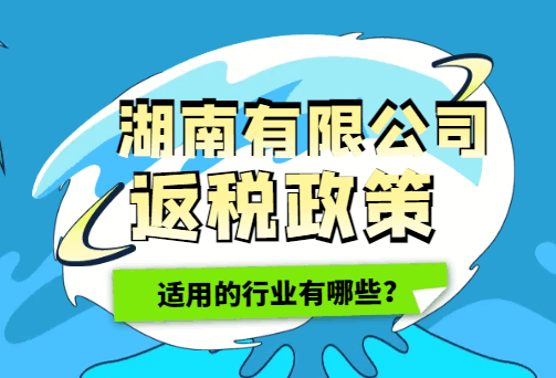 湖南有限公司返稅政策適用的行業有哪些？
