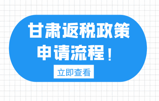甘肅返稅政策申請流程是什么？