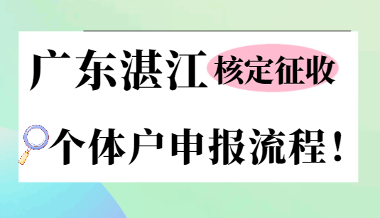 廣東湛江核定征收個體戶申報流程!
