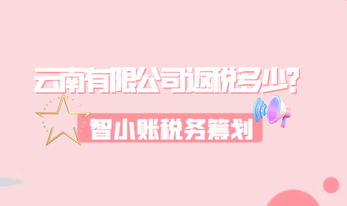 云南有限公司返稅多少？