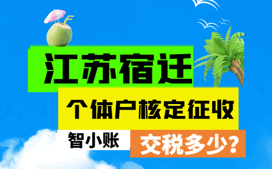 江蘇宿遷個體戶核定征收交稅多少？