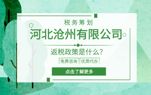 河北滄州有限公司返稅政策是什么？