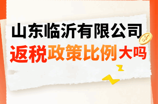 山東臨沂有限公司返稅政策比例大嗎？