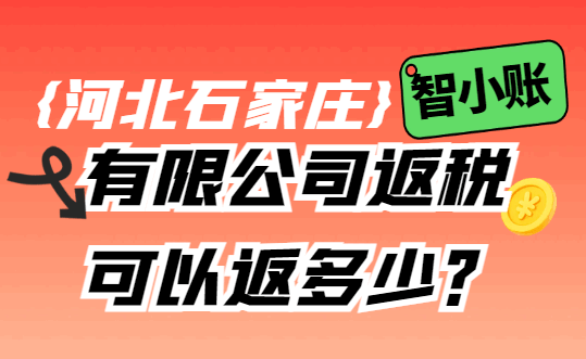 河北石家莊有限公司返稅可以返多少?
