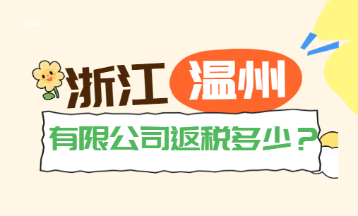 浙江溫州有限公司返稅多少？