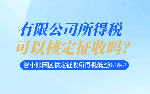 有限公司所得稅可以核定征收嗎？