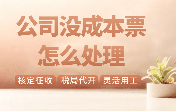 成本票不夠的解決方法！合規(guī)享受企業(yè)所得稅核定低至0.5%！