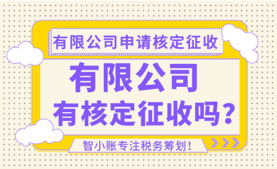2026核定征收的三種方式：大額、有限公司和定額如何選擇？